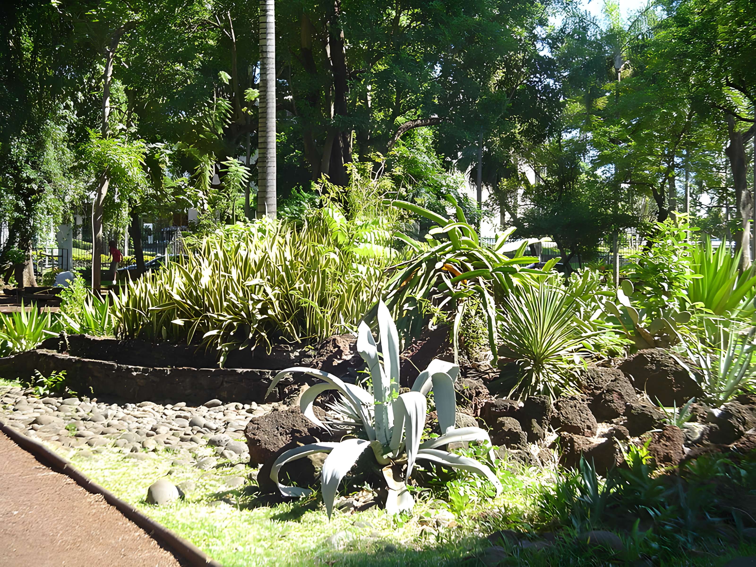 Muséum d'Histoire Naturelle