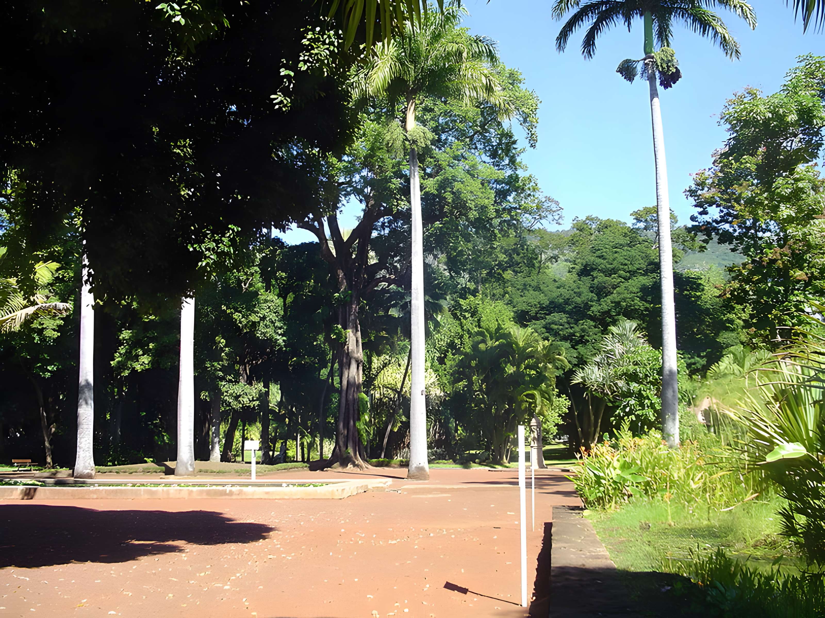 Muséum d'Histoire Naturelle