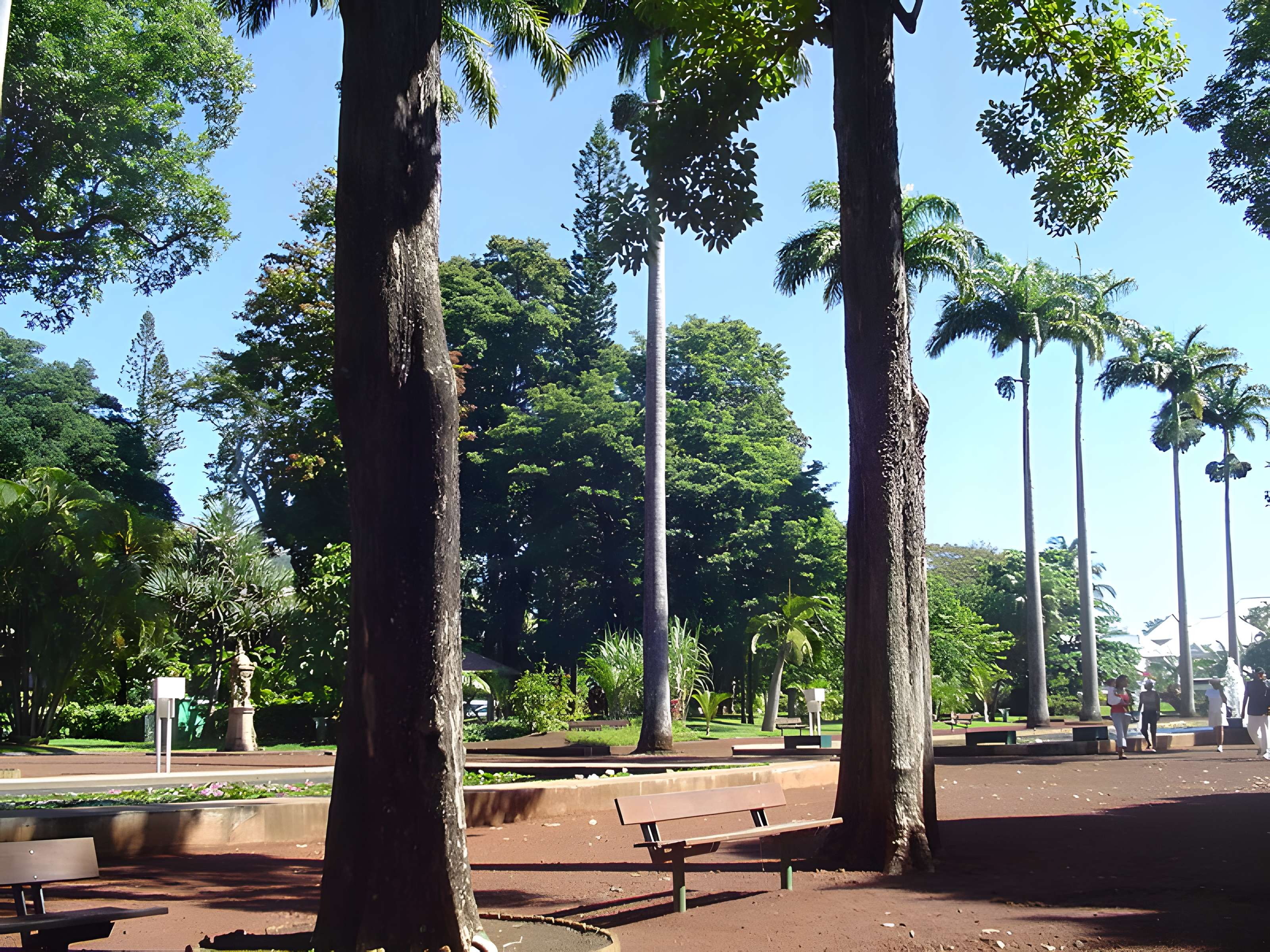 Muséum d'Histoire Naturelle