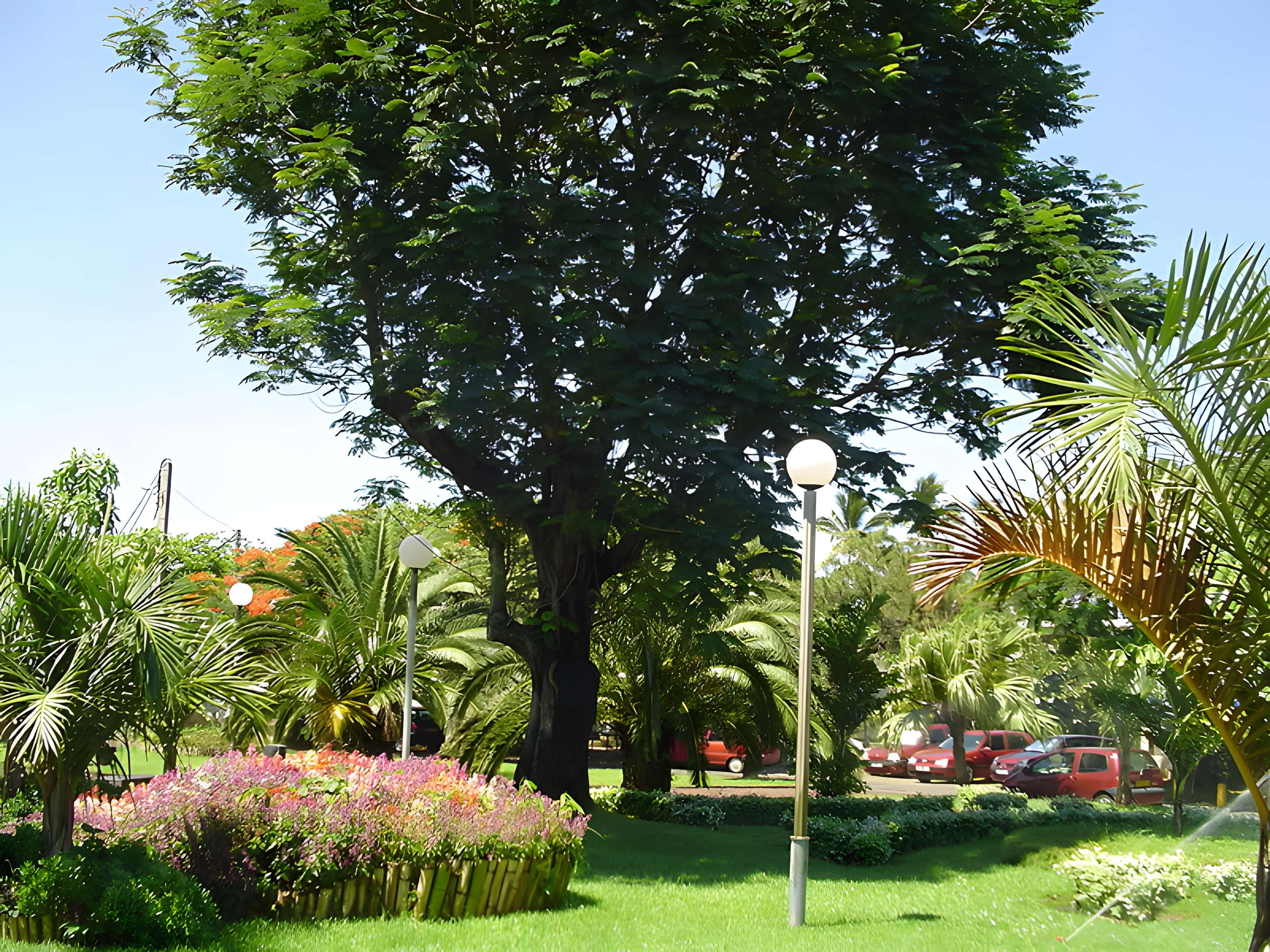 Muséum d'Histoire Naturelle
