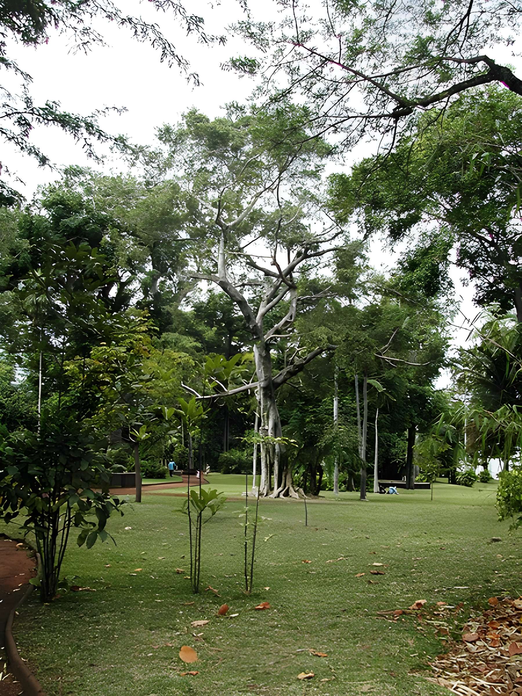 Muséum d'Histoire Naturelle
