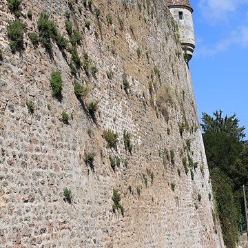 Remparts dAvallon