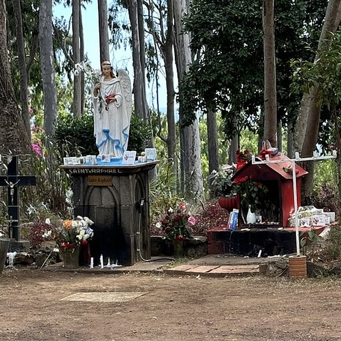 Photo de Domaine de Villèle