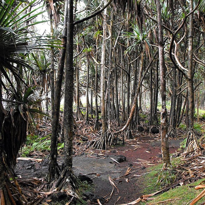 Photo de Puits des Anglais