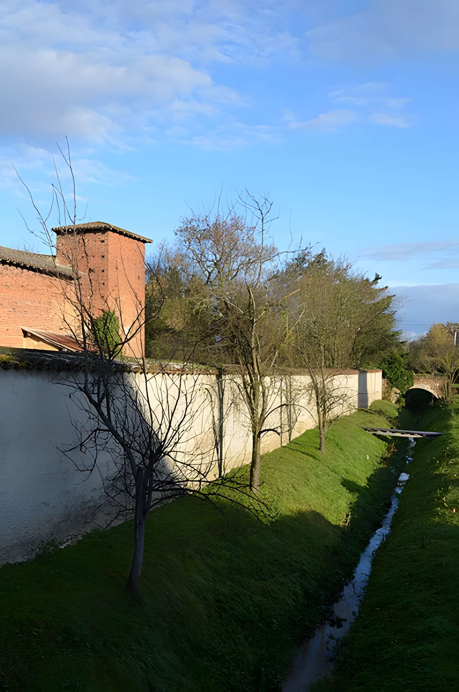 Remparts de Saint-Trivier-sur-Moignans