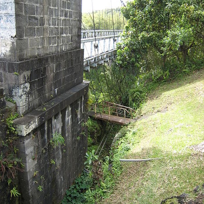 Photo de Pont suspendu de la rivière de lEst
