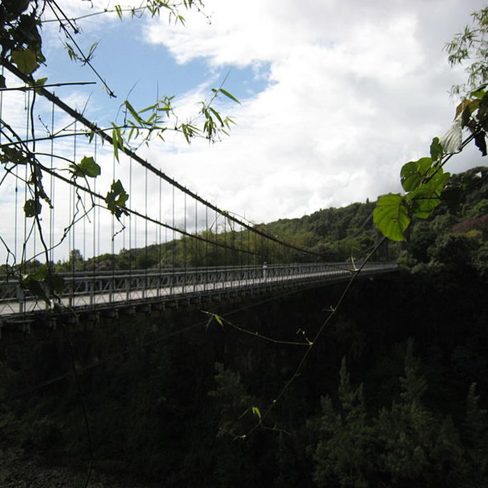 Photo de Pont suspendu de la rivière de lEst