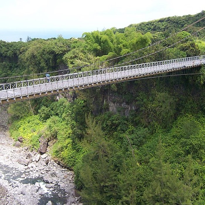 Photo de Pont suspendu de la rivière de lEst