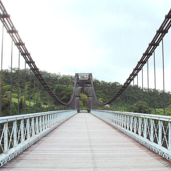 Photo de Pont suspendu de la rivière de lEst