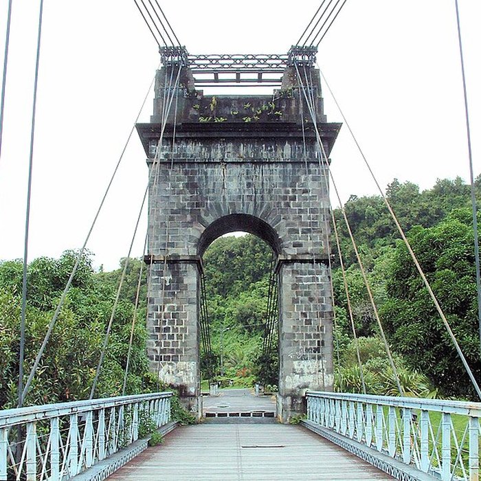 Photo de Pont suspendu de la rivière de lEst