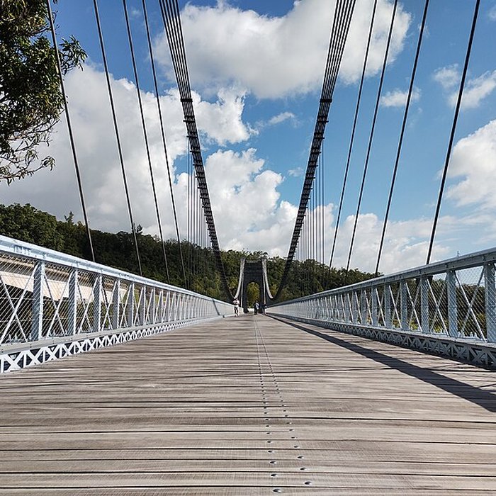 Photo de Pont suspendu de la rivière de lEst