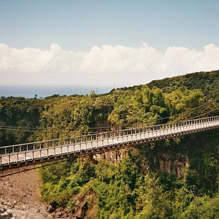 Photo de Pont suspendu de la rivière de lEst