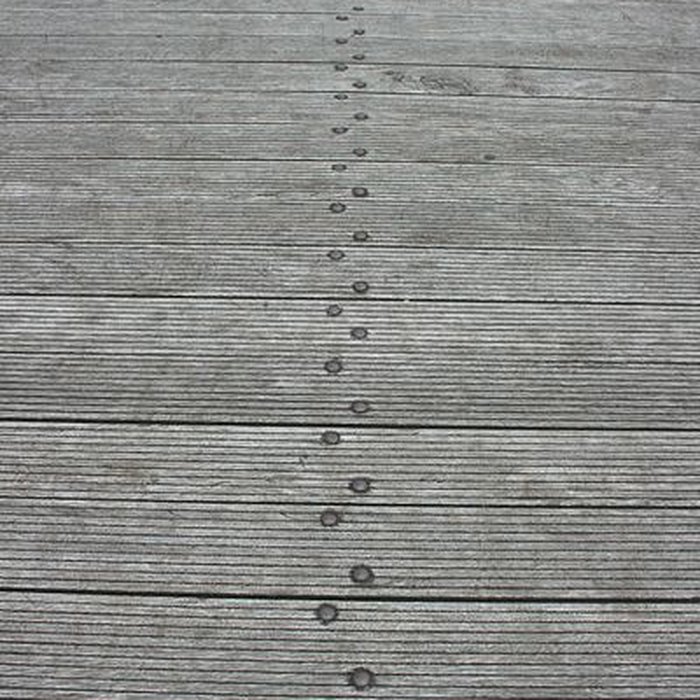 Photo de Pont suspendu de la rivière de lEst