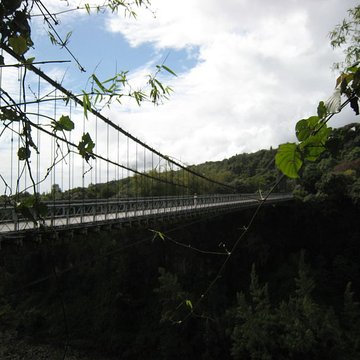 Pont suspendu de la rivière de lEst