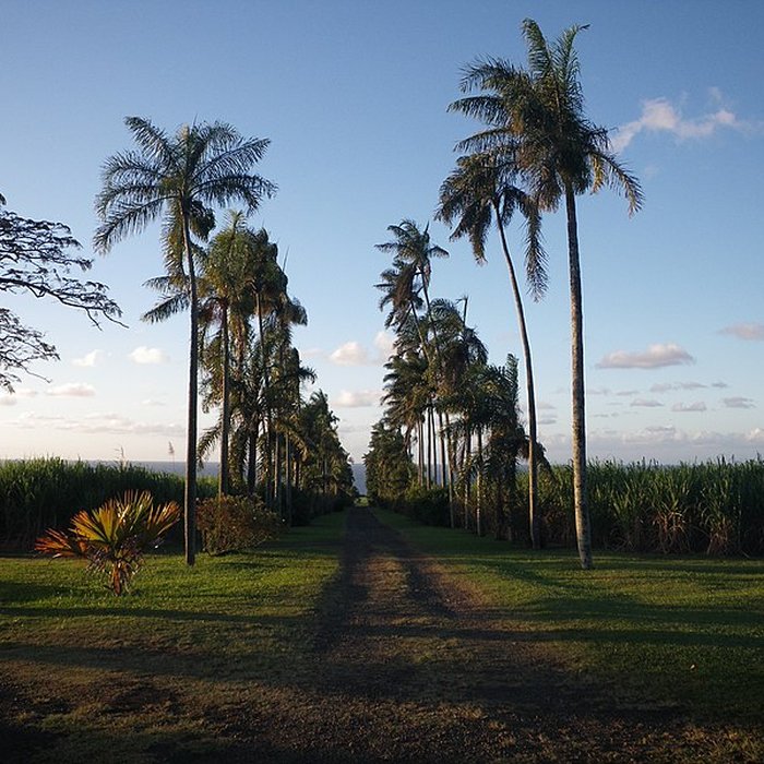 Photo de Domaine du Grand Hazier
