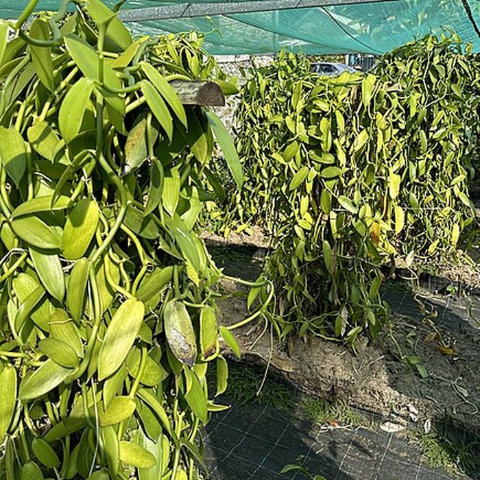 Photo de Domaine du Grand Hazier