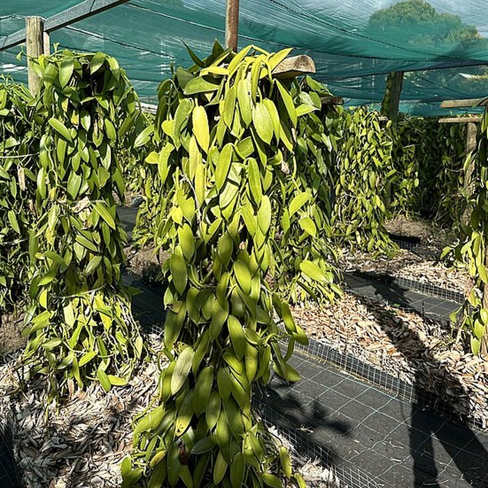 Photo de Domaine du Grand Hazier