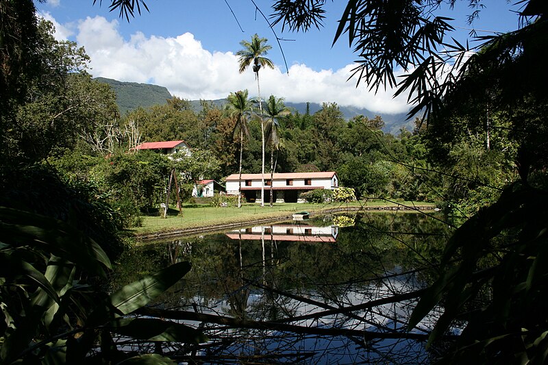Photo de Domaine de Mare à Citrons