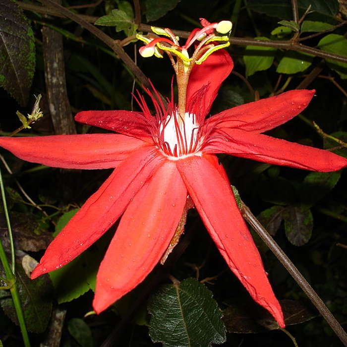 Photo de Villa Folio