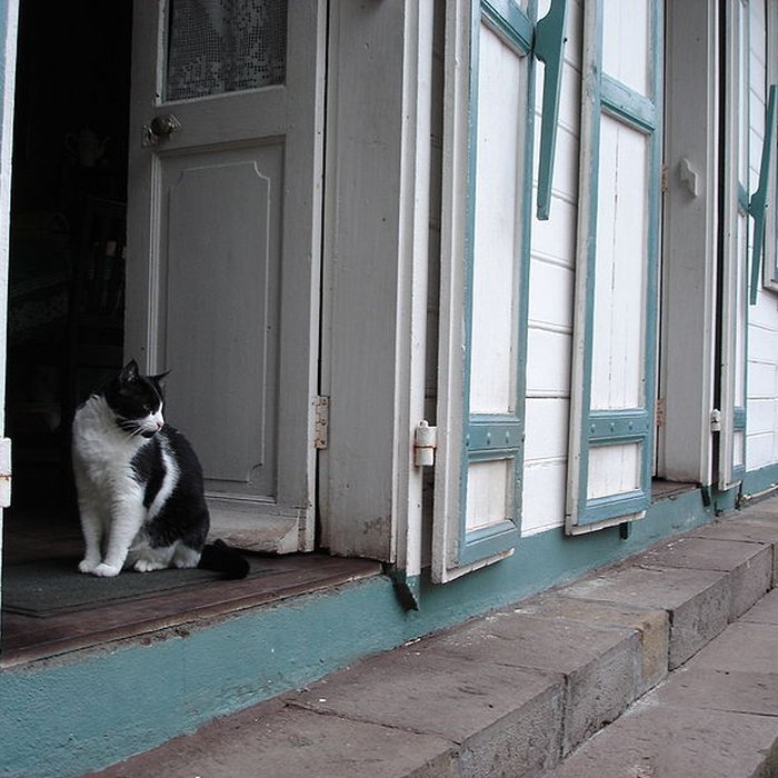 Photo de Villa Folio