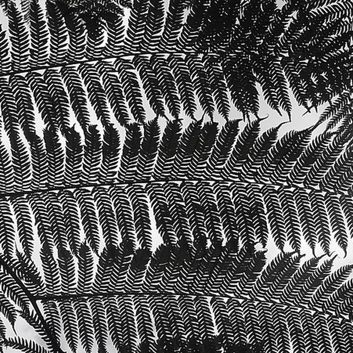 Photo de Villa Folio