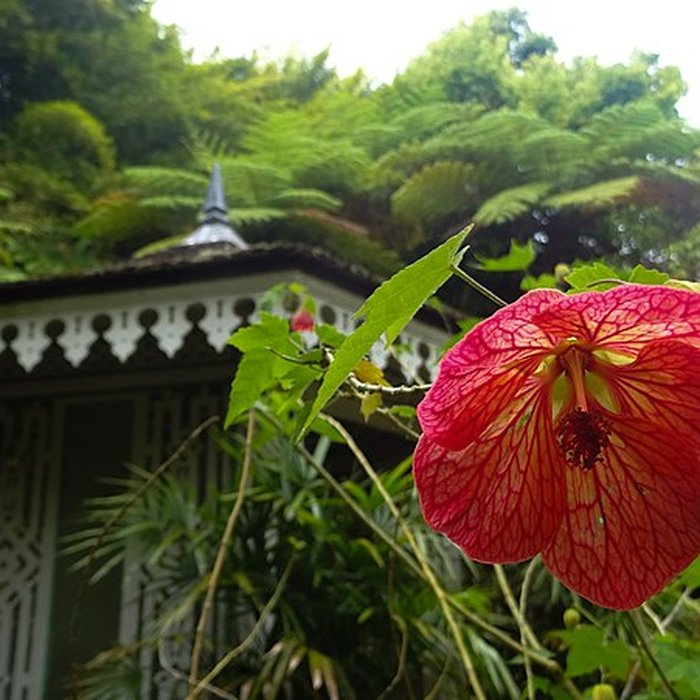 Photo de Villa Folio