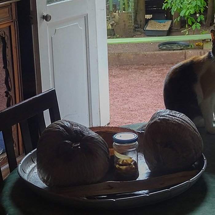 Photo de Villa Folio