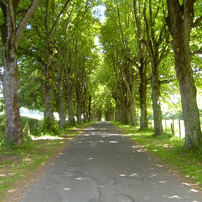 Photo de Château de Cordès