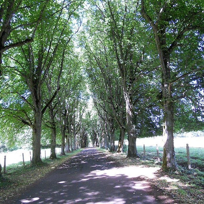 Photo de Château de Cordès