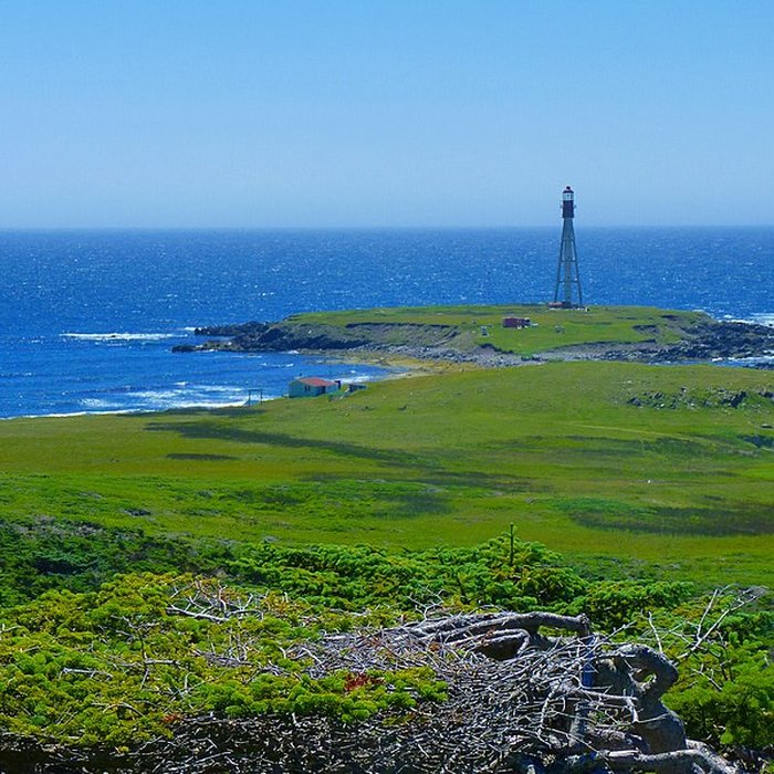 Photo de Phare de Pointe-Plate