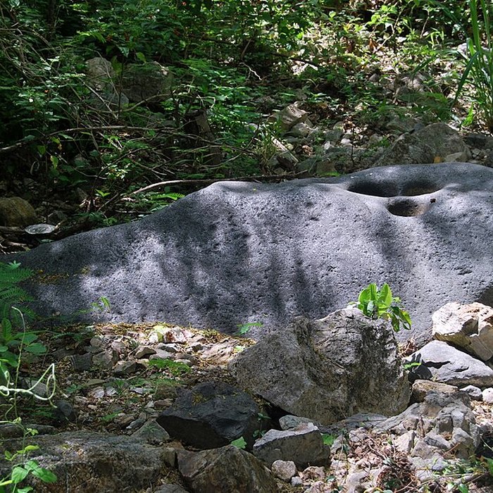 Photo de Roche gravée de Moho