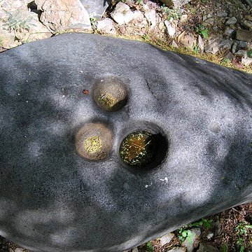 Roche gravée de Moho