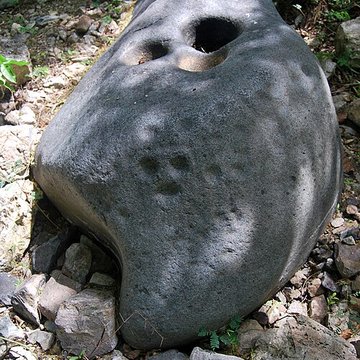 Roche gravée de Moho