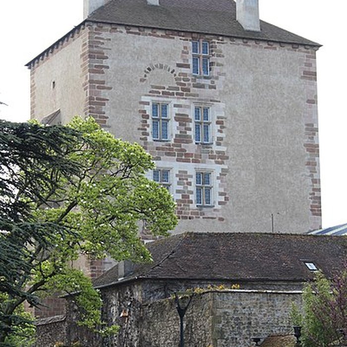 Photo de Ancien château ou Palais des ducs de Bourbon