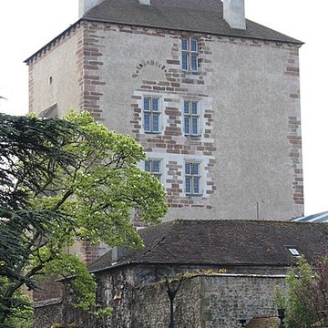 Ancien château ou Palais des ducs de Bourbon