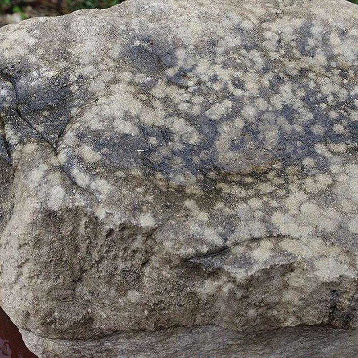 Photo de Gisement préhistorique