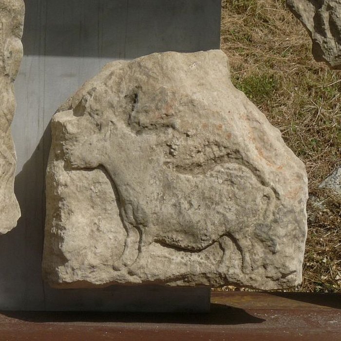 Photo de Gisement préhistorique