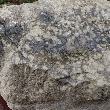 Gisement préhistorique