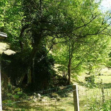 Gisement préhistorique