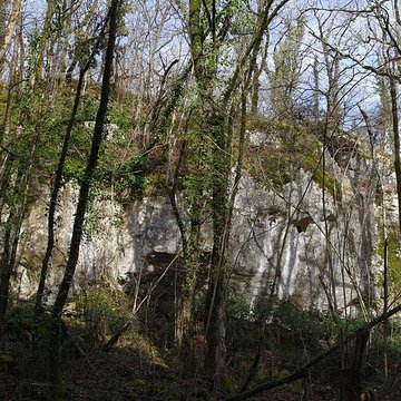 Gisement préhistorique