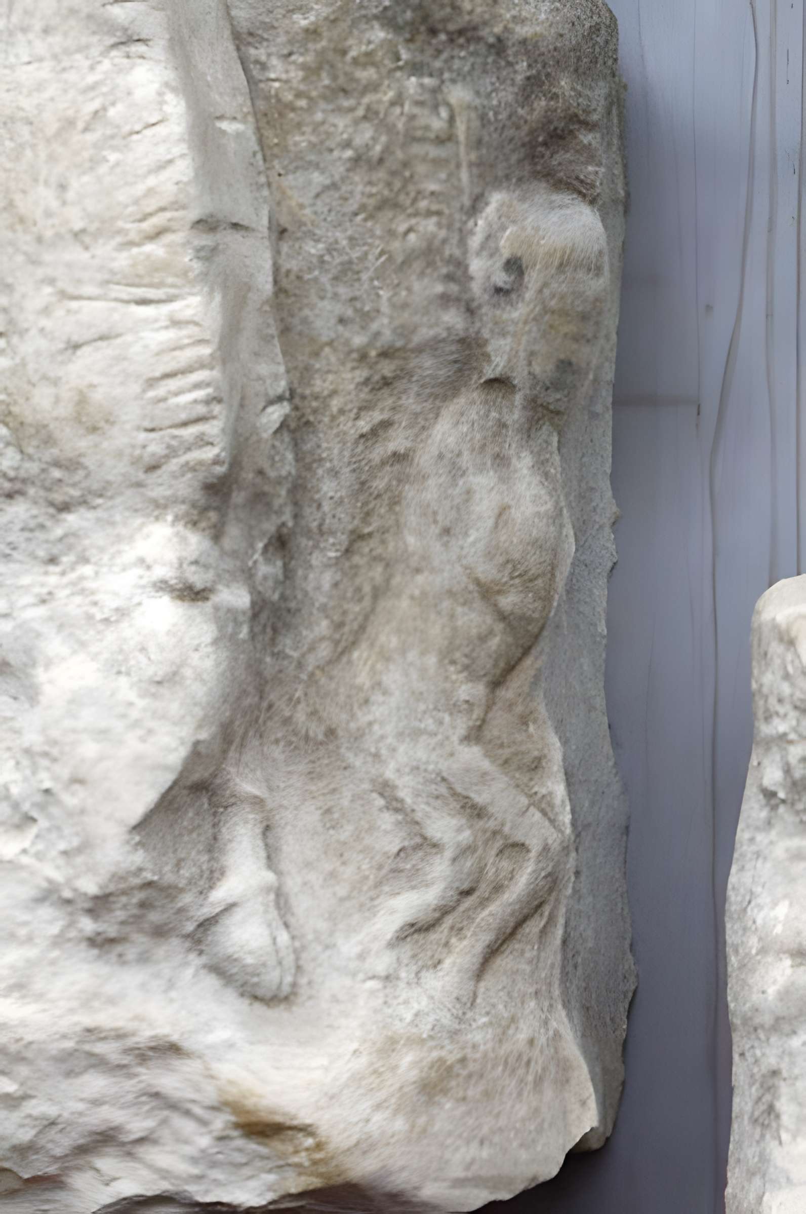 Gisement préhistorique