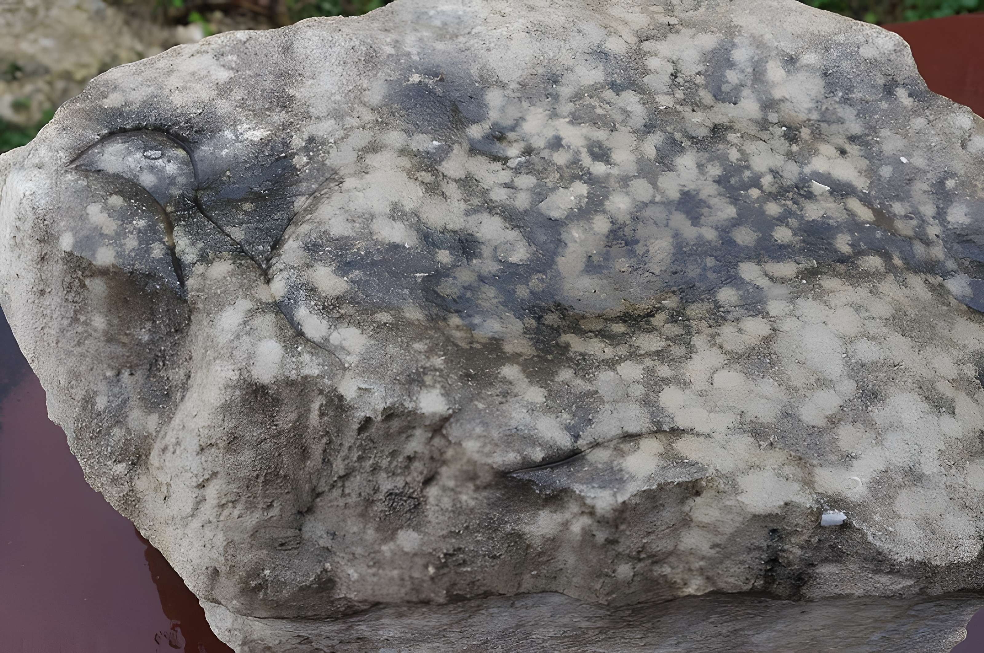 Gisement préhistorique