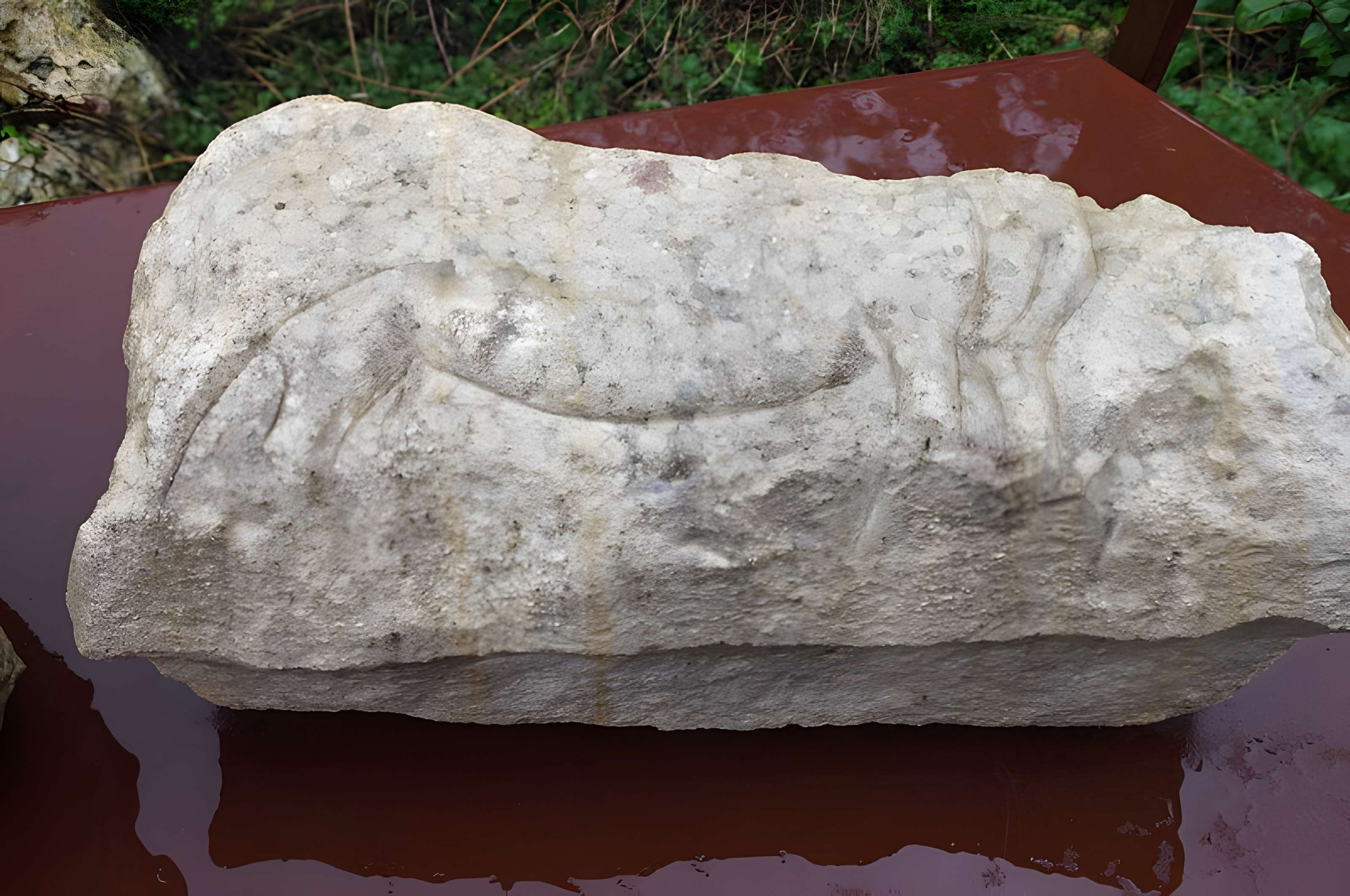 Gisement préhistorique