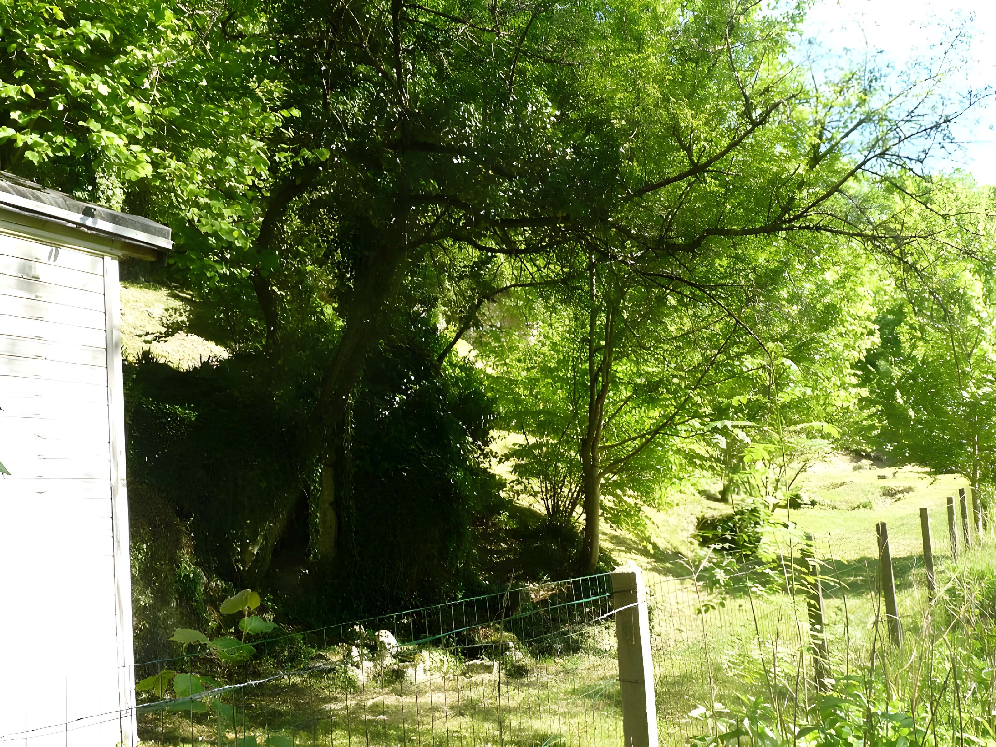 Gisement préhistorique