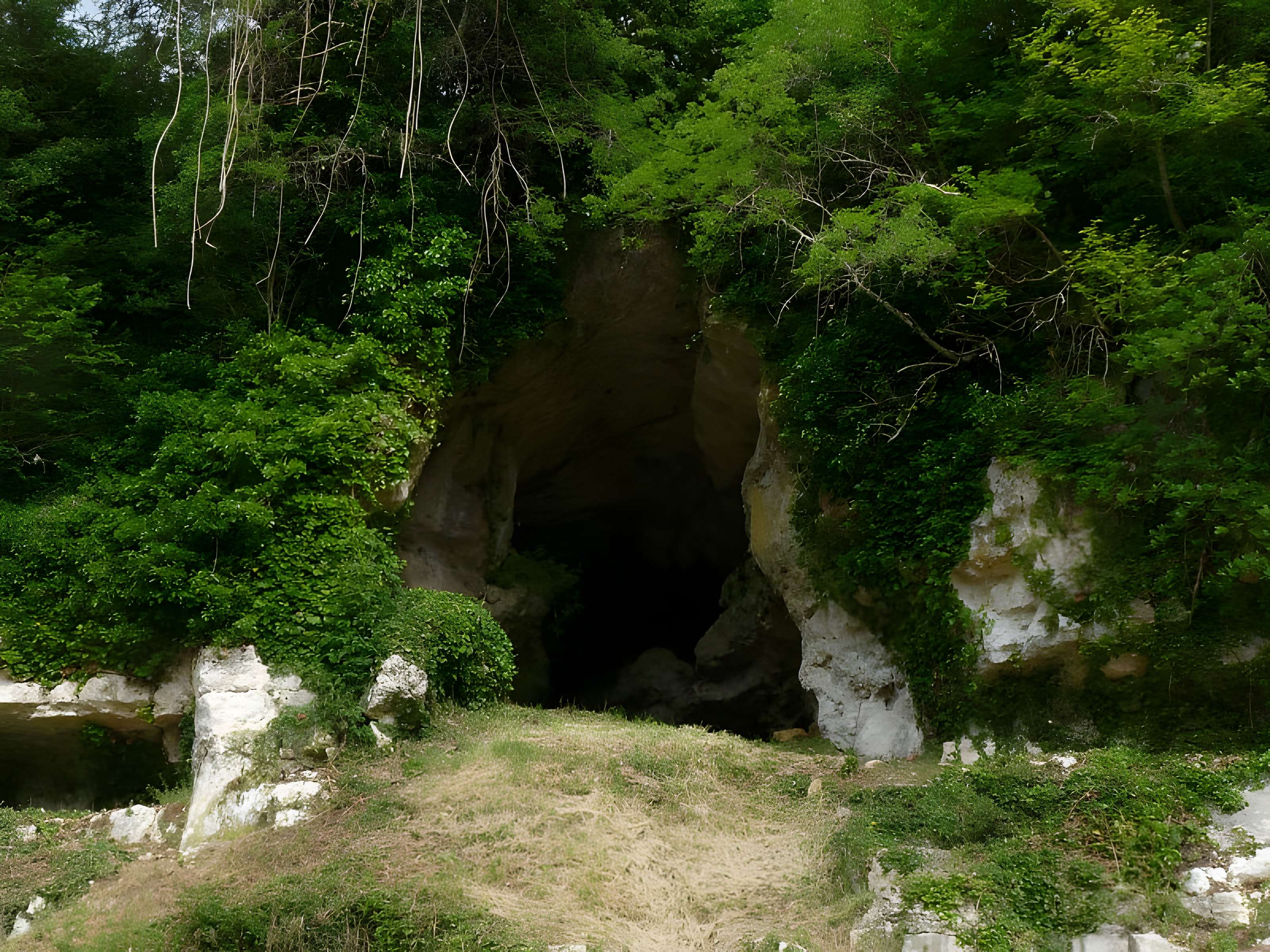 Gisement préhistorique