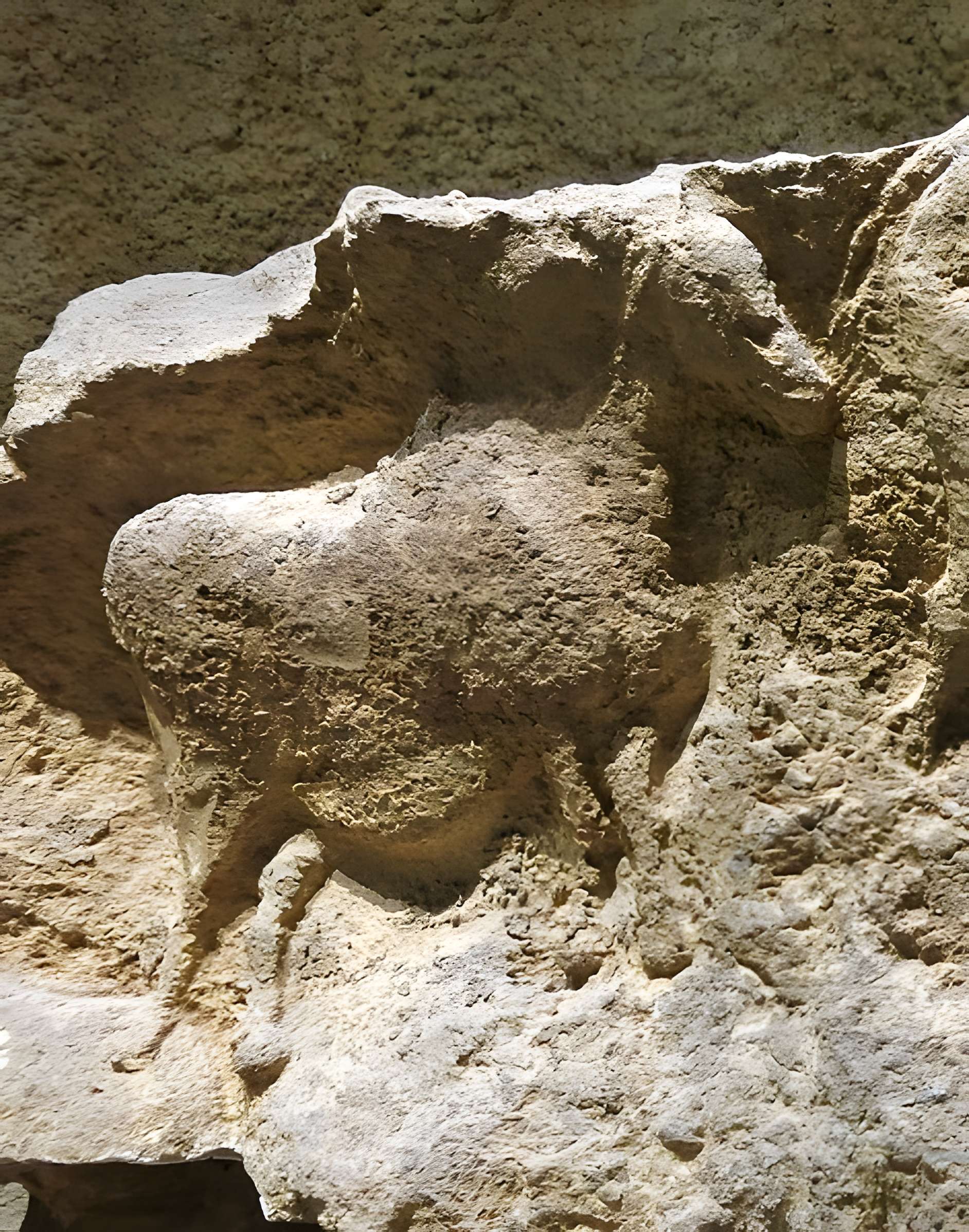 Gisement préhistorique