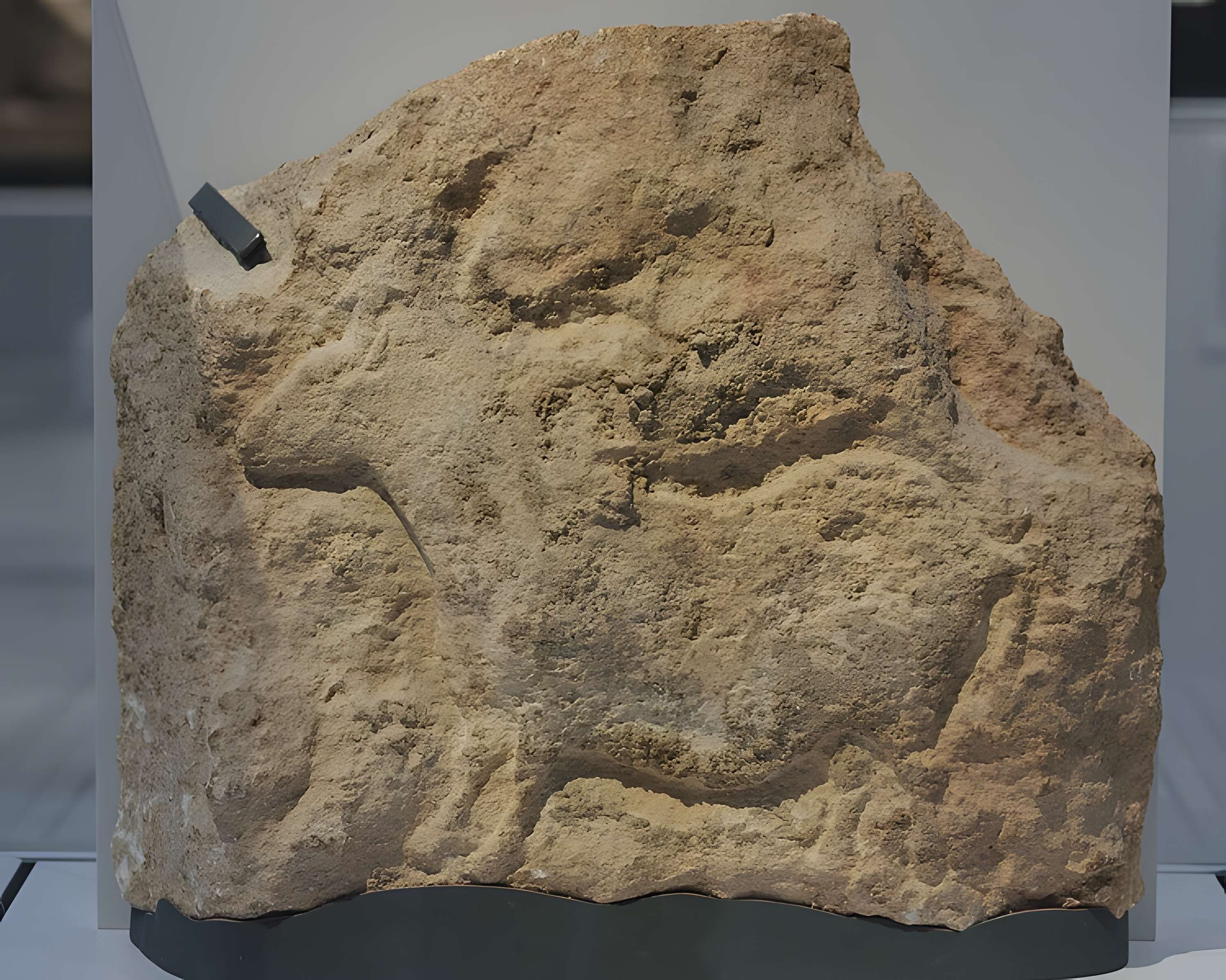 Gisement préhistorique