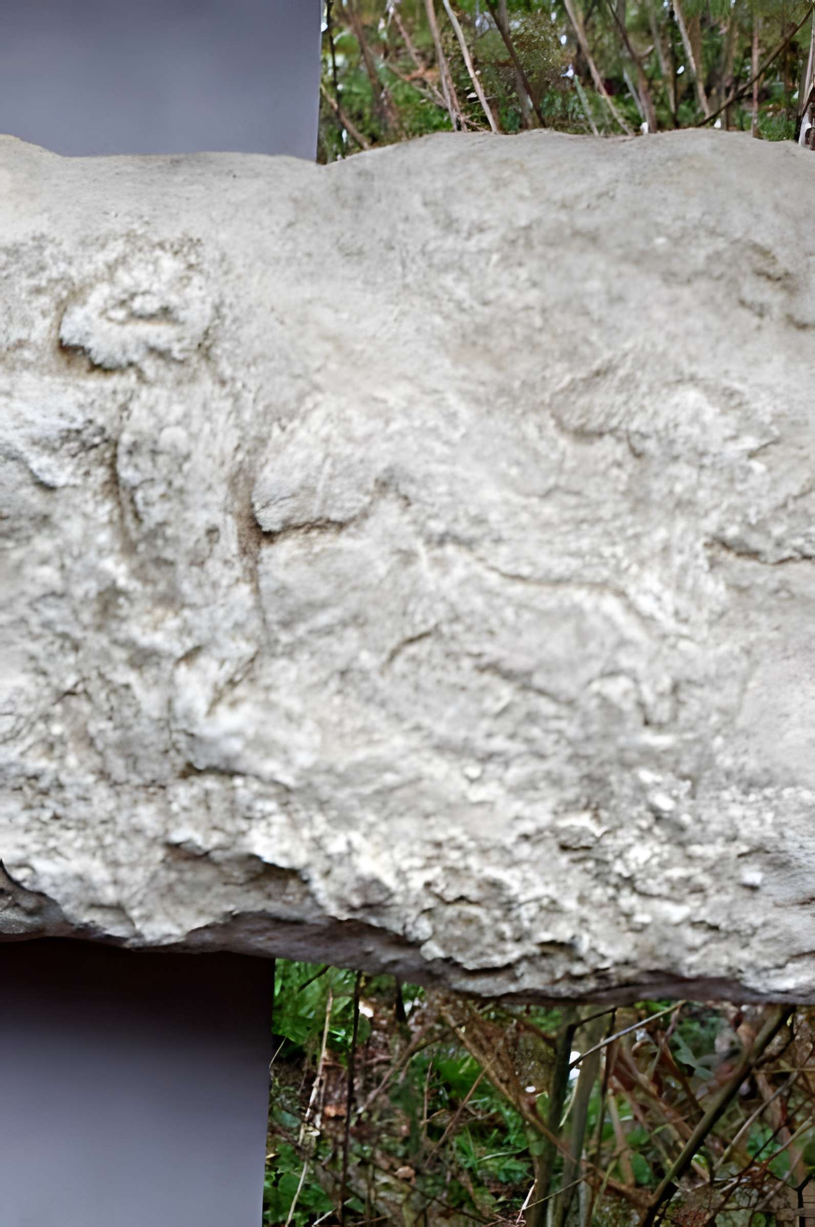 Gisement préhistorique