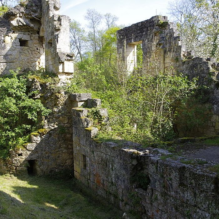 Photo de Ruines de lAbbaye Notre-Dame de Boschaud