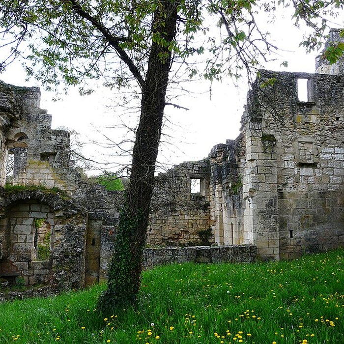 Photo de Ruines de lAbbaye Notre-Dame de Boschaud